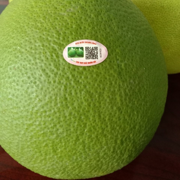 Bưởi da xanh loại từ 1,5-2kg/trái Combo 2 trái - Ảnh 3