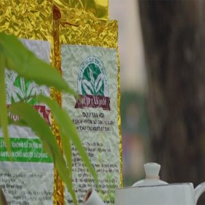 OCOP Chè dưới tán hồi Khau phụ Bình Gia 1000gram