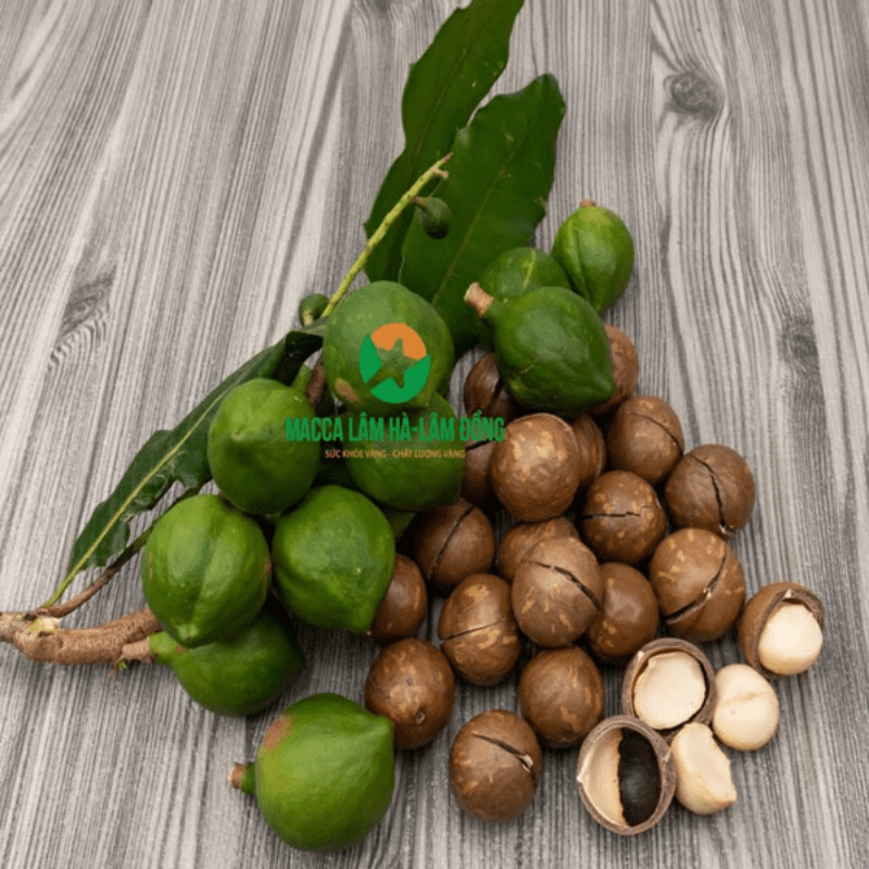 OCOP - Macca Nứt Vỏ Lâm Hà Bịch Zip 500gr - Ảnh 3