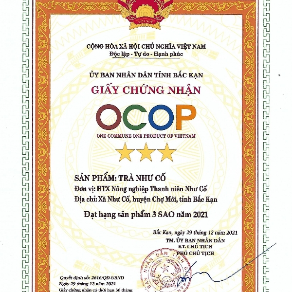 OCOP - Trà Như Cố túi lọc - Hộp 120gr, sản phẩm đạt tiêu chuẩn OCOP 3 sao - Ảnh 2