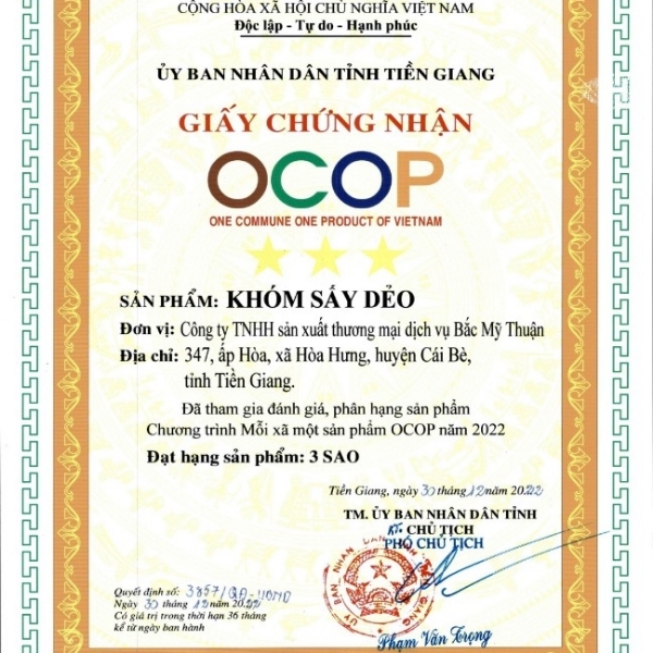 OCOP - Thơm sấy dẻo - Gói 200Gram - Ảnh 5