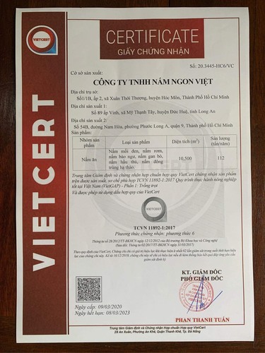 Combo 2 Hộp Nấm Mối Đen Sấy Thăng Hoa 50g Đạt Chuẩn VietGap - Nấm Ngon Việt - Ảnh 4