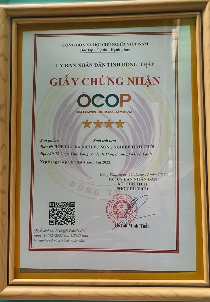 OCOP - XOÀI CÁT HÒA LỘC CAO LÃNH (COMBO 5KG) - Ảnh 4