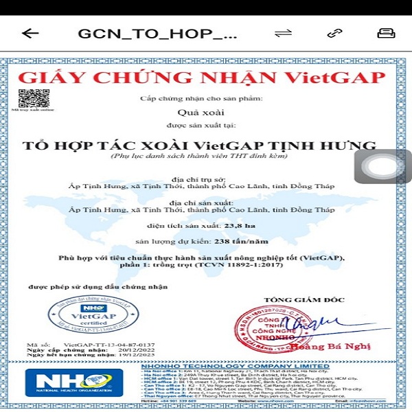 OCOP - XOÀI CÁT HÒA LỘC CAO LÃNH (COMBO 5KG) - Ảnh 5