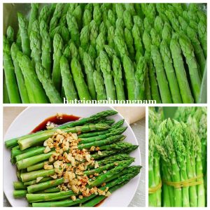 HẠT GIỐNG MĂNG TÂY